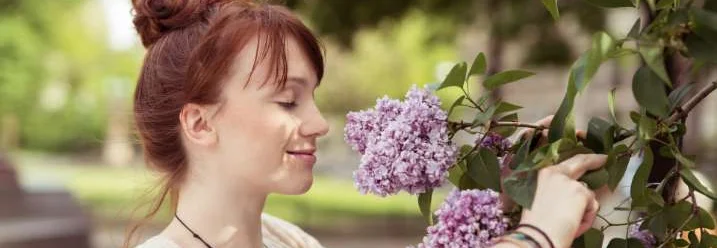 Person riecht an Flieder